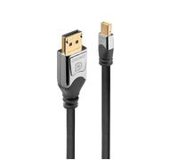LINDY Câble DisplayPort vers Mini DisplayPort Cromo - 0.5m