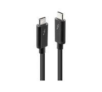 Lindy - Câble Thunderbolt - 24 pin USB-C (M) pour 24 pin USB-C (M) - USB 3.1 Gen 2 / Thunderbolt 3 / DisplayPort 1.2 - 1 m - connecteurs réversibles, support 4K - noir
