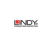 LINDY Câble USB 3.2 Gen2 type C actif 3m - Data 10Gbps - Audio/vidéo - PD 100W