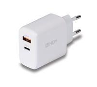 Lindy Chargeur GaN 65W USB Type A & C