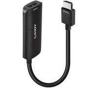 Lindy Adaptateur HDMI 38329 – 1x HDMI / 1x DisplayPort, Micro USB – Noir 0,157 m
