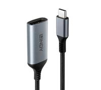 Lindy Convertisseur USB-C vers DisplayPort 1.4, 8K 60Hz/4K 144Hz, Prend en Charge HDR, Compatible avec MacBook, Thunderbolt 3 et 4, Adaptateur vidéo Haute Vitesse pour Jeux et Montage vidéo, Noir