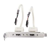 Lindy Equerre 2 Ports USB F, 14cm