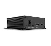 Lindy 38361 convertisseur audio Noir