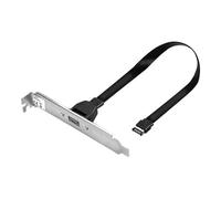 Lindy - Panneau USB - USB-C (F) pour en-tête USB 3.1 de 20 broches (M) - 45 cm - noir