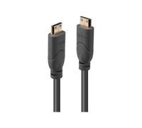 Lindy Premium High Speed HDMI Cable - Câble HDMI - 19 pin mini HDMI Type C mâle pour 19 pin mini HDMI Type C mâle - 2 m - blindé