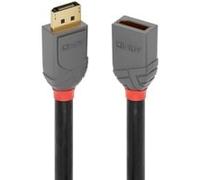 Lindy Rallonge DisplayPort 1.4 Anthra Line, 1m, Câble