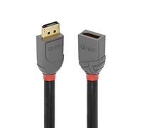 Lindy Rallonge DisplayPort Mâle vers Femelle 1,00 m anthracite/noir/rouge contacts dorés