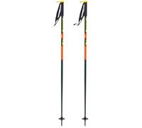 Line - Wallischtick - 110 - Bâton