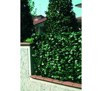 Linea Garden Friend S1098005 Clôture en PVC avec Feuilles Lauro et Filet d'ombrage 1 x 3, Vert