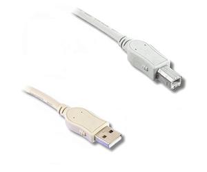 Lineaire PCUSB212E câble USB USB 2.0 3 m USB A USB B Beige