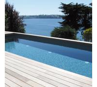 Liner armé uni verni ALKORPLAN 2000 - Gris anthracite - 2,05 x 25 m