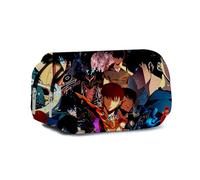 Linfemy Sung Jin Woo Anime Trousse Cha Hae-In Impression 3D Double Couche Sac à Crayons Grande Capacité Écoles Papeterie Rangement Étudiants, Trousse (type 5), 22 x 12 x 9 CM, Fashion