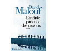 L'Infinie patience des oiseaux