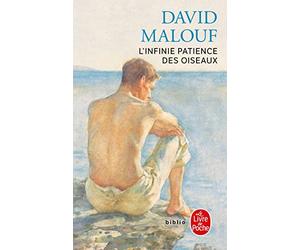 L'infinie patience des oiseaux