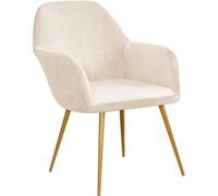LinFortune Housses de Chaise de Salle à Manger 2/4 Pcs en Velours Extensible Housse de Chaise à Dossier Incurvé Housse de Fauteuil D'Appoint Modernes Protecteur