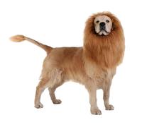 Ling & Bai Costume d'Halloween pour chien - Crinière et queue de lion réglables - Tenue de cosplay pour chiens de taille moyenne et grande (marron clair)