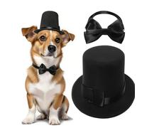 Ling & Bai Costume formel pour animal domestique 2 pièces avec chapeau haut et cravate et nœud papillon pour mariage, fête d'anniversaire (noir)