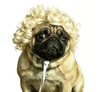 Ling & Bai Perruque pour chien et chat - Costume d'Halloween pour chien et chat - Déguisement amusant - Décorations de cosplay pour anniversaire, fête, festival (doré)