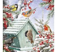 Ling Design Lot de 8 cartes de vœux de Noël caritatives de qualité supérieure avec enveloppes, oiseaux festifs du jardin - Soutenir les organismes de bienfaisance britanniques