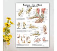 Ling88 Articulations des Pieds du Tableau des Pieds Anatomie Pathologie Affiche Peinture sur Toile Photos Murales pour L'Éducation Médicale Médecins Bureau Affiches Et Impressions De Classe - 50X70Cm