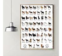 Ling88 Tableau Decoration Murale Salon,Anatomie du Teckel Graphique Diagramme Chiens Races Graphique Affiche Impression Toile Photos Maison Peintures Mur Art Salon Décor - 30X40Cm