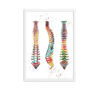 Ling88 Tableau Decoration Murale Salon,Pieds Impression Squelette Ensemble Art Toile Affiche Peinture Pied Os Anatomie Médecine Impression Murale Clinique Bureau Médical Décor À La Maison-30X40Cm