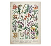 Ling88 Tableau Decoration Murale Salon,Toile Éducative Botanique Peinture Affiches Et Impressions Champignons Champignons Tableau De Référence Bureau École Décor Cuadros,Affiches Art Vintage-50X70Cm