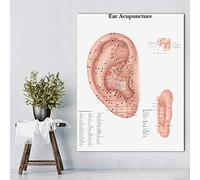Ling88 Tableau Decoration Murale, Tableaux Anatomiques Affiches Oreille Acupuncture Oreille Anatomie Affiche Toile Peinture Mur Photos pour L'Éducation Médicale Affiches Et Impressions - 50X70Cm
