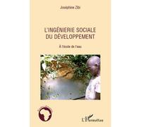 L'ingénierie sociale du développement