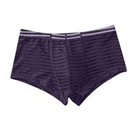 Lingerie Homme Sexy Coquin Boxer Transparent Homme Tenue Sexy Érotique Slip Érotique Dessous Lingerie Coquine Hot Maillot De Bain Transparent Sous Vêtements Tenue Hot Et Vêtements Dentelle Caleçon