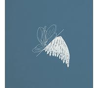 Linghaus Tim - Memory Sketches