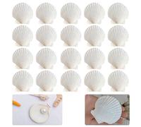 LINGJIA 20 Pièces Coquillage Décoration, Coquilles Saint-Jacques Blanches, Artisanat, Grands Coquillages Blancs, Peints, Carillons à Vent en Coquillages (6-8 cm)