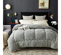 LINGKY Édredon en Velours d'agneau, Remplissage à 100% en Microfibre avec Poids De Remplissage 3000g, Respirant Et Doux pour La Peau (Gris,220x240cm 4.0kg)