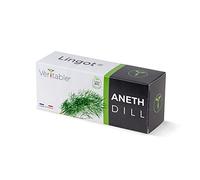 Recharge jardin d'intérieur VERITABLE Aneth BIO