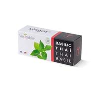 VÉRITABLE-Lingot Basilic Thaï Bio