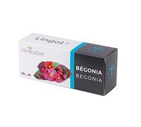 Lingot® Bégonia - Compatible Potager d'Intérieur Véritable® et Exky® - Recharge prête à l'emploi - Substrat avec Graines Intégrées…