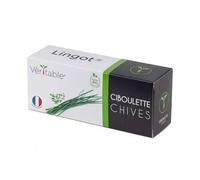 Lingot Ciboulette Bio Pour Potager Véritable