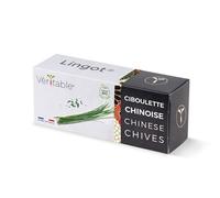 Lingot® Veritable Ciboulette Chinoise BIO G
