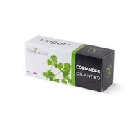Lingot® Coriandre - Compatible Potager d'Intérieur Véritable® et Exky® - Recharge prête à l'emploi - Substrat avec Graines Intégrées