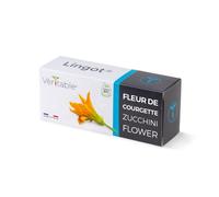 Lingot® Fleur de Courgette Bio - Compatible Potager d'Intérieur Véritable® et Exky® - Recharge prête à l'emploi - Substrat avec Graines Intégrées…