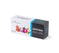 Lingot Impatiens - Recharge Prête À L'emploi