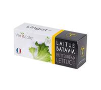 VÉRITABLE-Lingot Laitue Batavia Bio