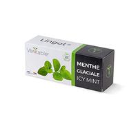 Lingot® Menthe Glaciale Bio - Compatible Potager d'Intérieur Véritable® et Exky® - Recharge prête à l'emploi - Substrat avec Graines Intégrées…