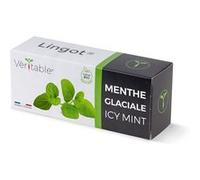 Lingot Menthe glaciale BIO - Recharge prête à l'emploi G