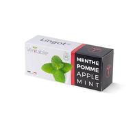 Lingot® Menthe Pomme - Compatible Potager d'Intérieur Véritable® et Exky® - Recharge prête à l'emploi - Substrat avec Graines Intégrées