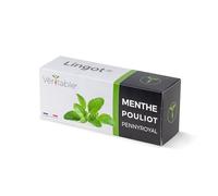Lingot® Menthe Pouliot - Compatible Potager d'Intérieur Véritable® et Exky® - Recharge prête à l'emploi - Substrat avec Graines Intégrées