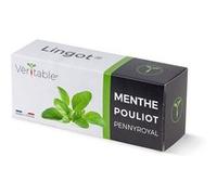 Lingot® Menthe Pouliot - Compatible Potager d'Intérieur Véritable® et Exky® - Recharge prête à l'emploi - Substrat avec Graines Intégrées