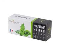 Lingot Menthe Verte Pour Potager Véritable