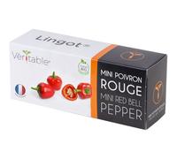 Lingot Mini Poivron Rouge Bio Pour Potager Véritable